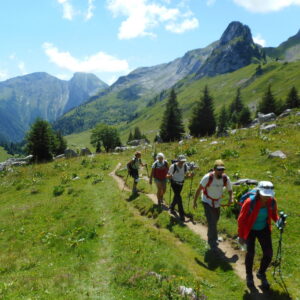 Randonnée découverte de la flore alpine
