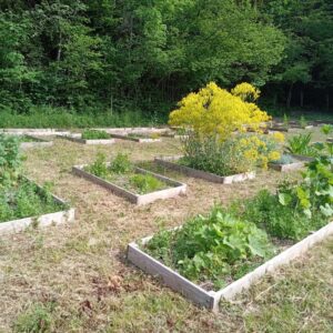Stage Créer son jardin médicinal