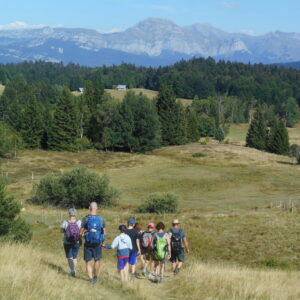 Randonnée flore de montagne et tourbière des Creusates