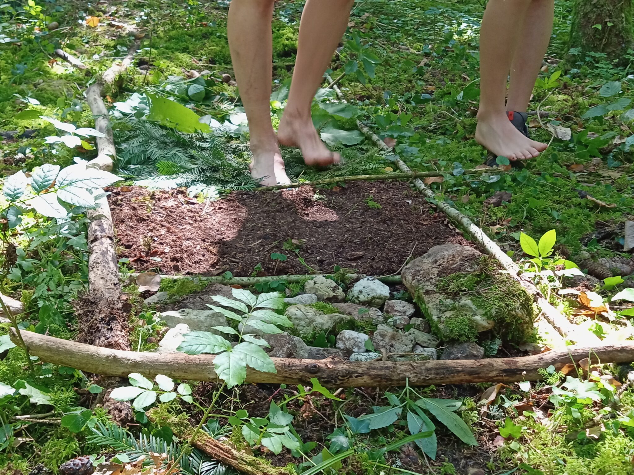 Cycle : Se soigner avec les plantes – Image 3