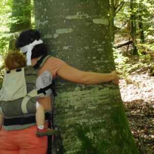 Stage à la rencontre des arbres